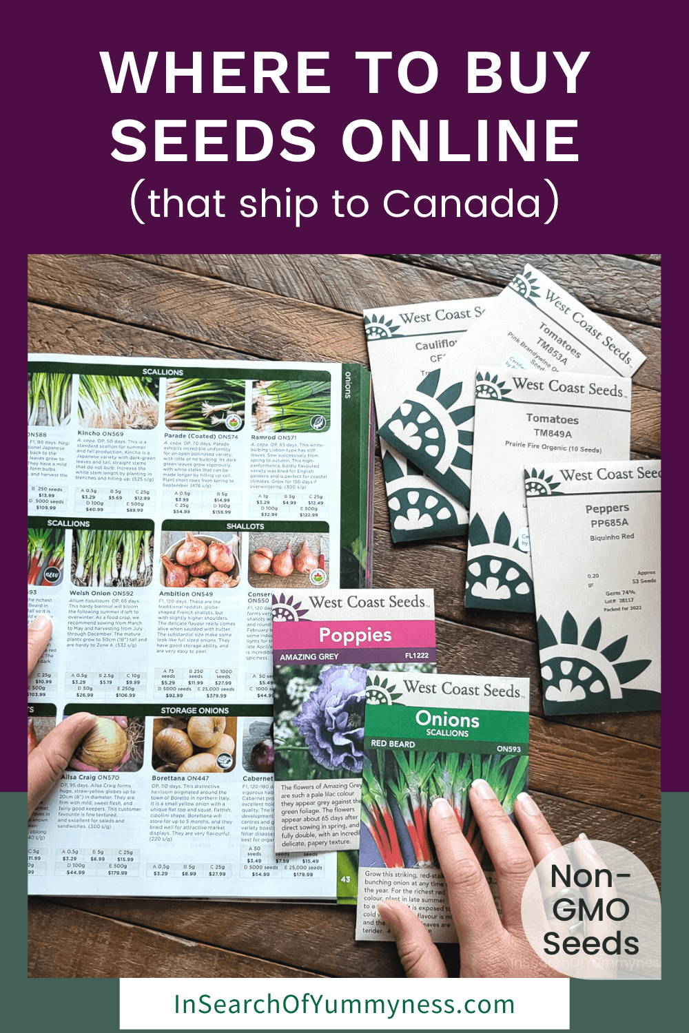 Where to Buy Seeds Online (Canada) In Search Of Yummyness