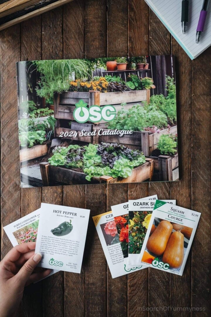 An Ontario Seed Company catalogue on a wooden table next to packets of garden seeds.