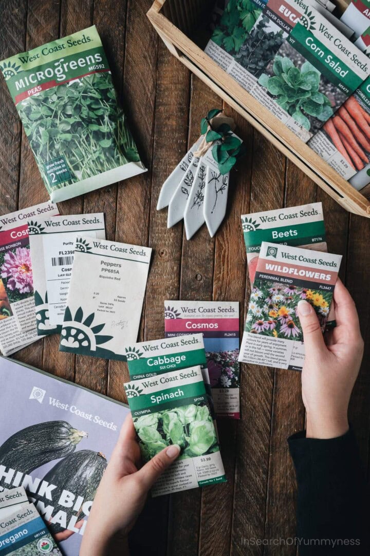 A pair of hands holding packages of garden seeds from West Coast Seeds.