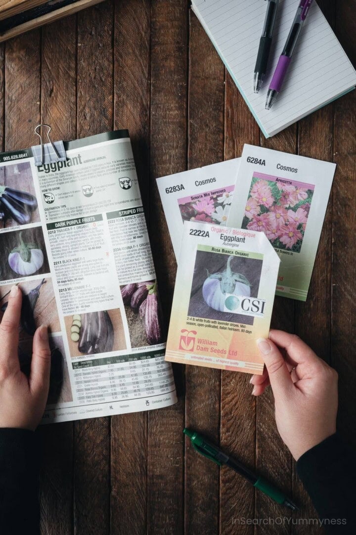 A hand pointing to a seed catalogue while another hand holds a package of William Dam seeds.