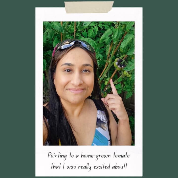 Shareba, editor of In Search Of Yummy-ness, pointing to a tomato that is growing in her garden.