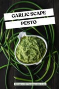 A garlic-shaped bowl full of garlic scape pesto, surrounded by fresh curly garlic scapes. Text overlay says "Garlic Scape Pesto".