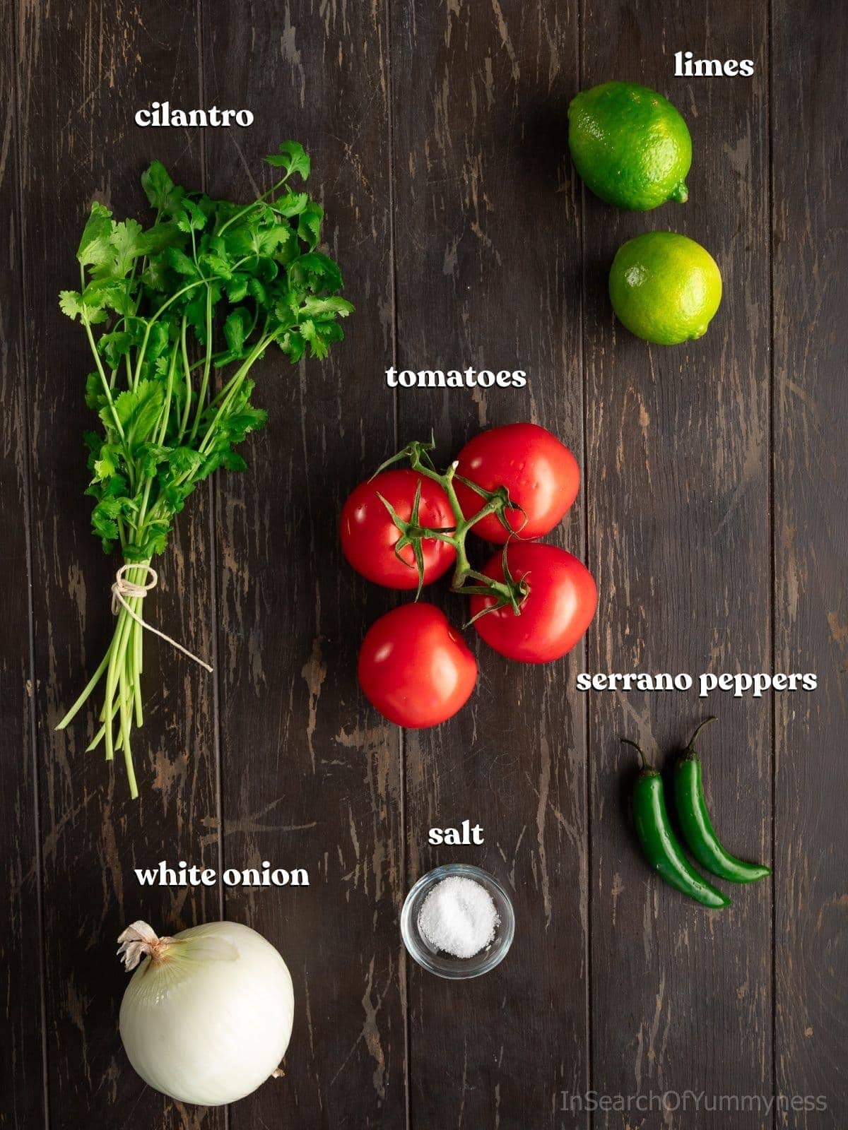 Cilantro, tomatoes, limes, serrano pepeprs, a white onion and a bowl of salt on a dark brown wooden table.