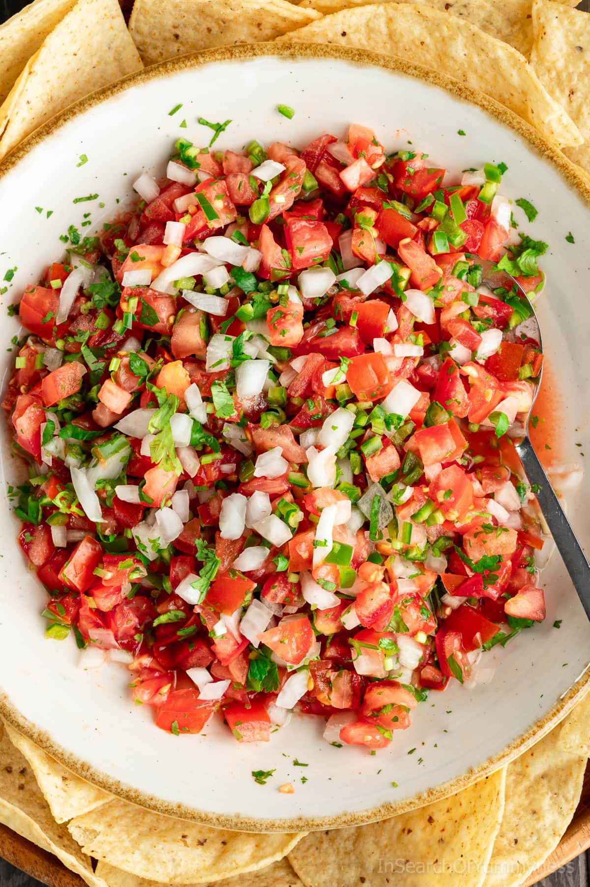 A large bowl with finely diced tomatoes, onion, serrano peppers and chopped cilantro. There is a spoon in the bowl, and the bowl has tortilla chips around it.