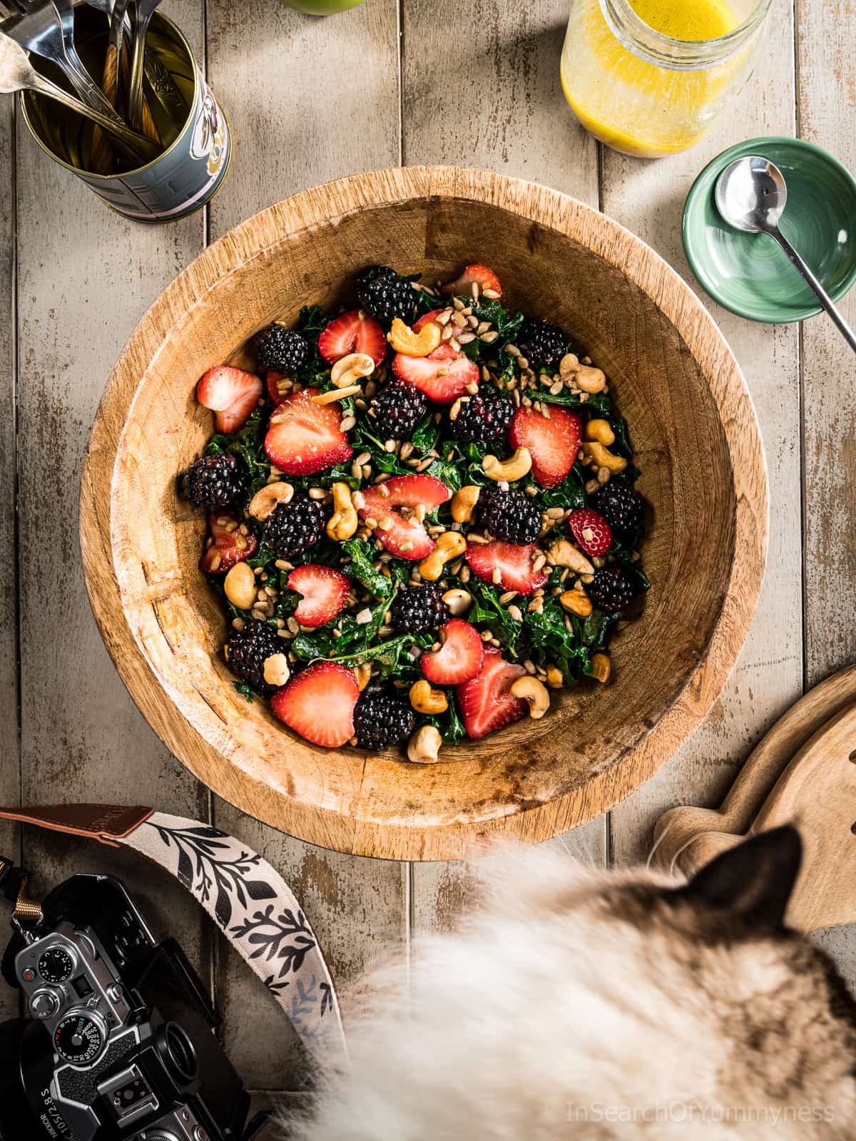 One of my cats standing next to a wooden bowl with summer kale salad in it, next to a camera and a jar of yellow salad dressing.