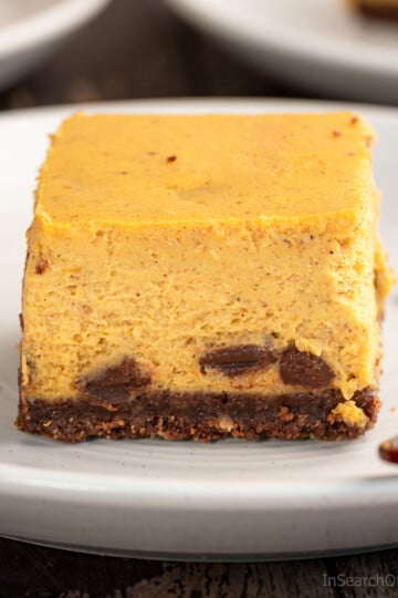 A pumpkin cheesecake bar studded with chocolate chips, with a dark brown chocolate graham crust, on a shallow white plate, on a dark brown table.