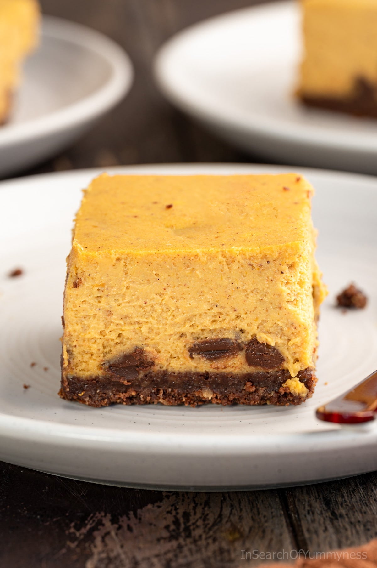 A pumpkin cheesecake bar studded with chocolate chips, with a dark brown chocolate graham crust, on a shallow white plate, on a dark brown table.