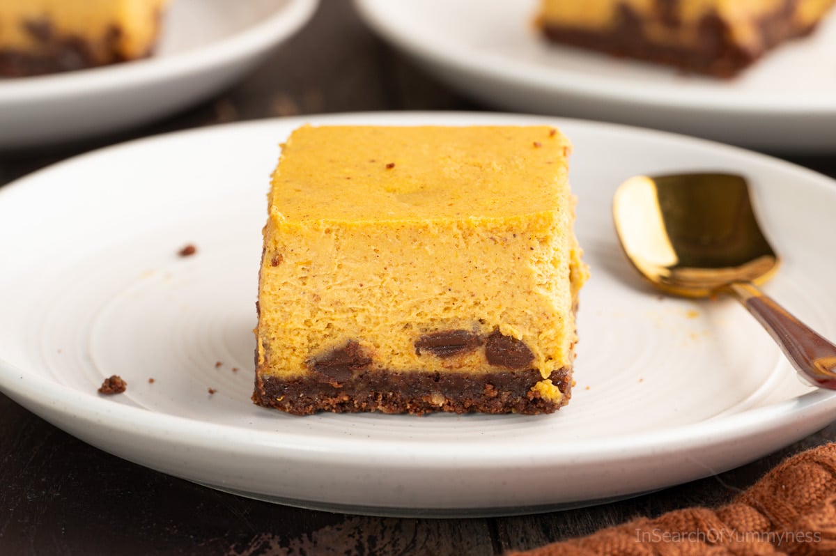 A pumpkin cheesecake bar studded with chocolate chips, with a dark brown chocolate graham crust, on a shallow white plate, on a dark brown table.